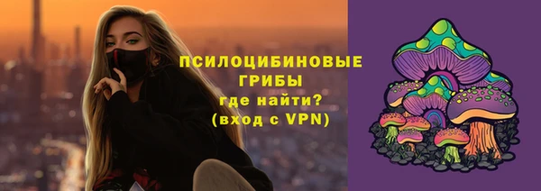 МДПВ Алзамай