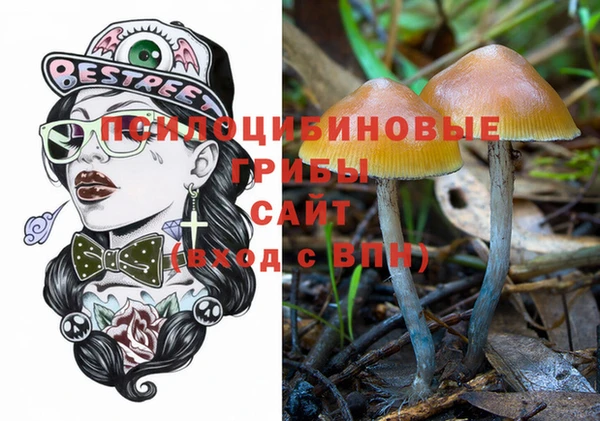 МДПВ Алзамай