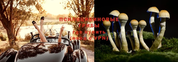 первитин Алексин