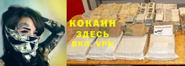 МДПВ Алзамай