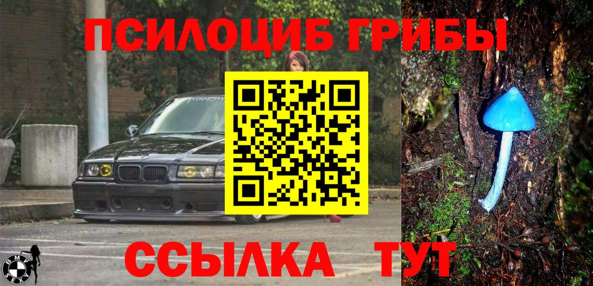 Топки  Галлюциногенные грибы мухоморы  Вход с VPN  Псилоцибиновые грибы мухоморы 